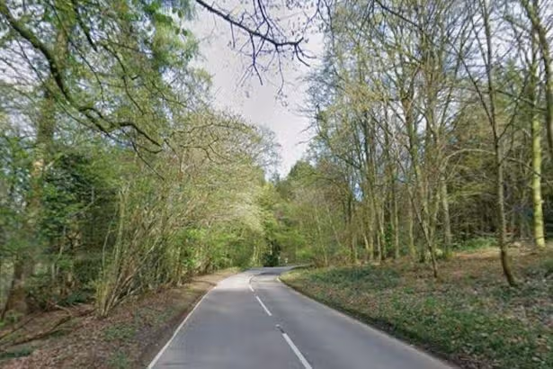 Illegal rave shut down in Welsh woodland after angry villagers call police