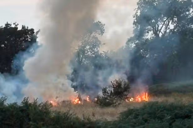 Fire rages next to children's play area at Cardiff park