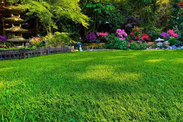 Lawns will look healthier and greener before August ends if you do 1 simple task now