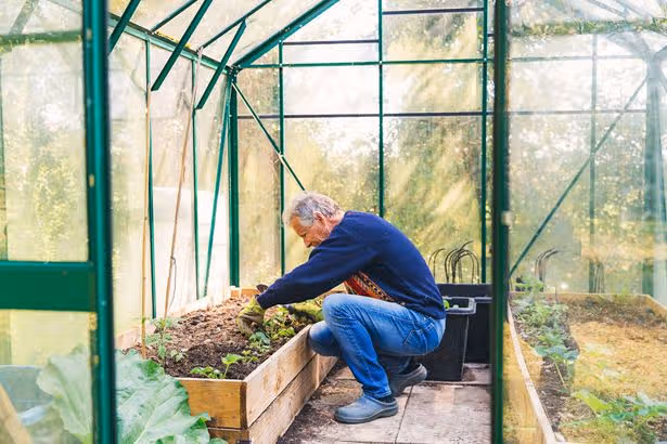 BBC Gardeners’ World star says everyone should plant one thing this month