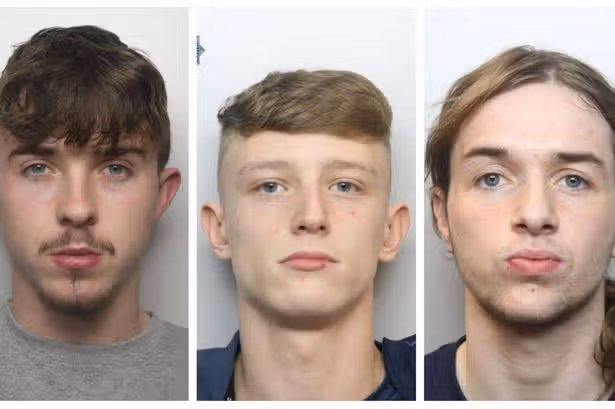 WalesOnline - News