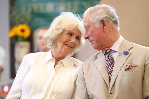 Queen Camilla's 'significant' role in Prince Harry's meeting with King Charles