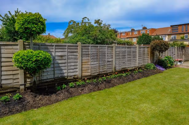 Homeowner frustrated as neighbour demands they replace shared garden fence