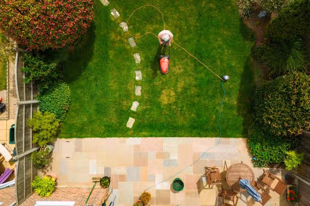 Adding one product to your grass could stop it looking dry – but there's a catch