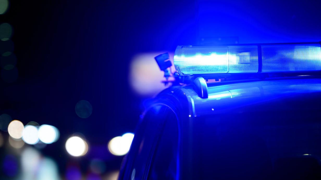 Austrian IS supporter killed in police operation in Turkey