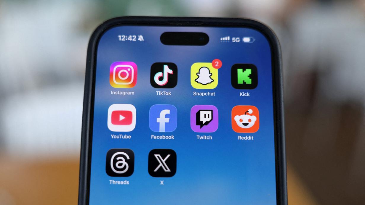 Child protection: France adopts social media ban for under 15-year-olds