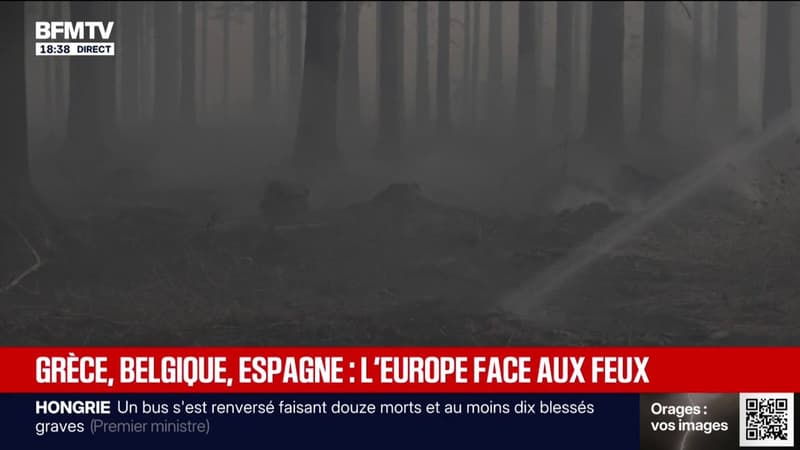 Belgium mobilised against a historic fire