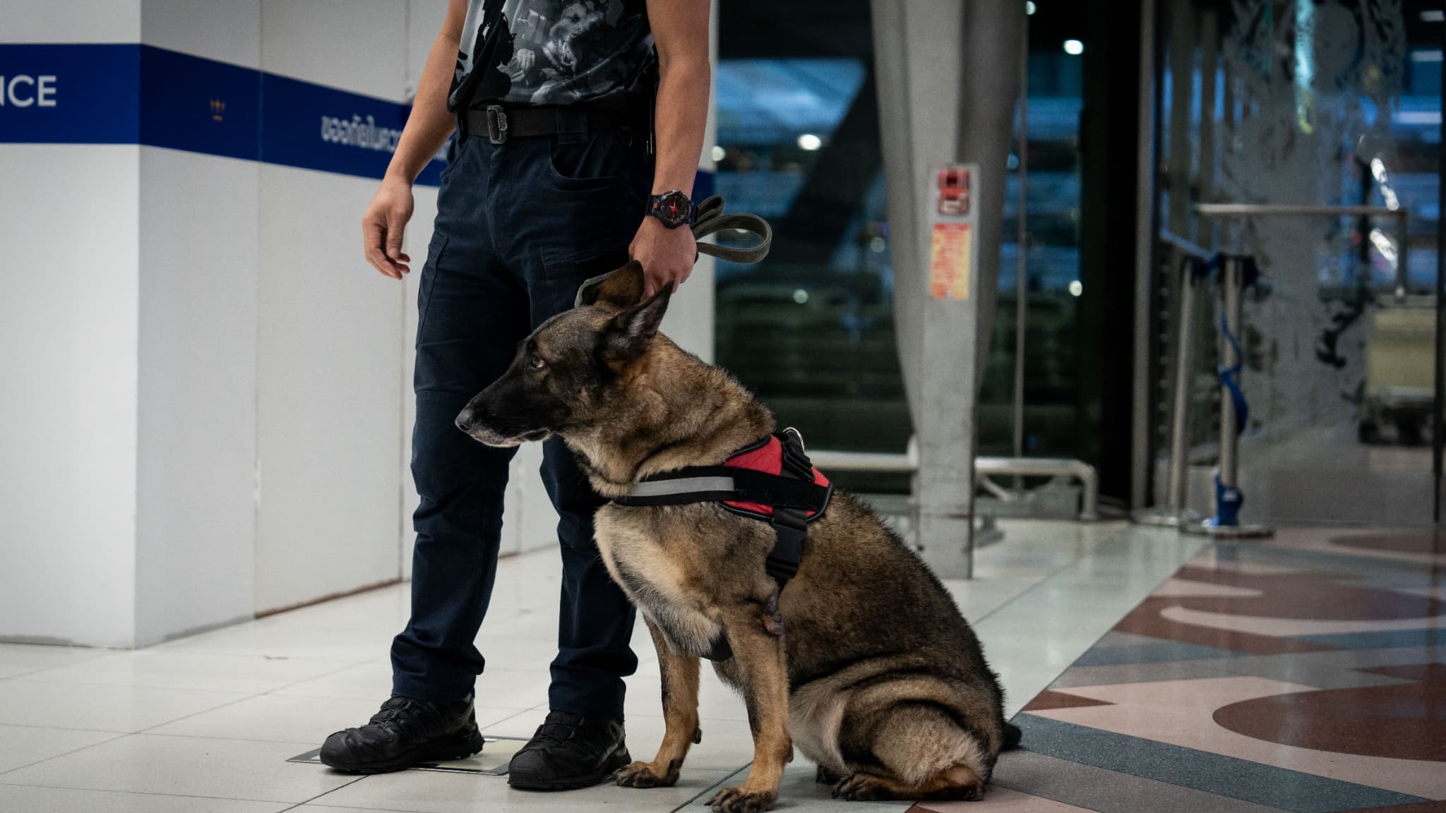 Thailand: 11 French prisoners detained since the beginning of summer for drug trafficking