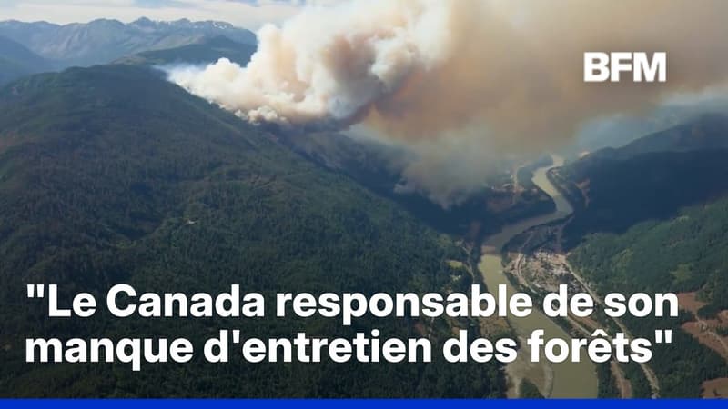 BFMTV — News 24/7