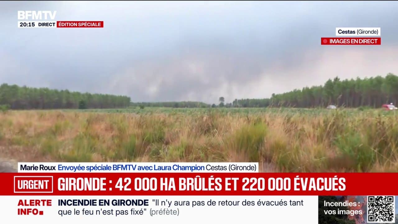 BFMTV — News 24/7