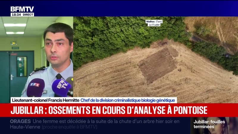 Jubilar case: this field where bones were discovered