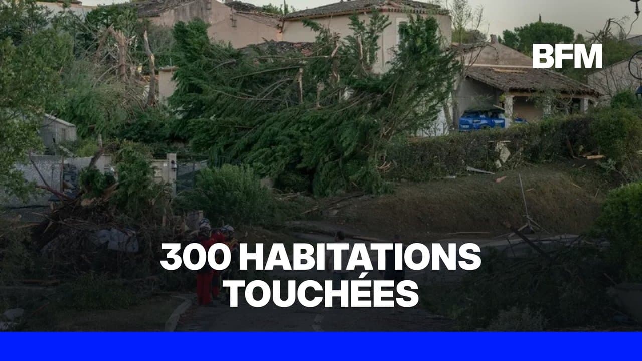 BFMTV — News 24/7