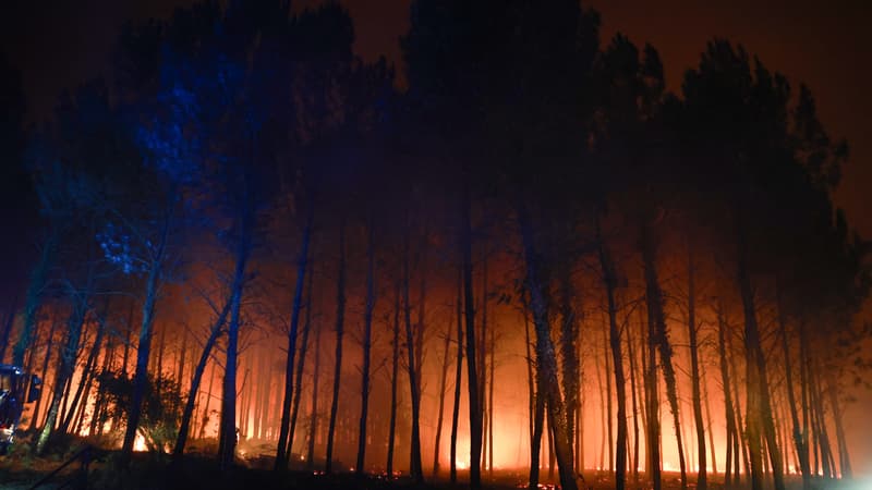 Fire in the Landes: fire at night, 1,580 hectares burned