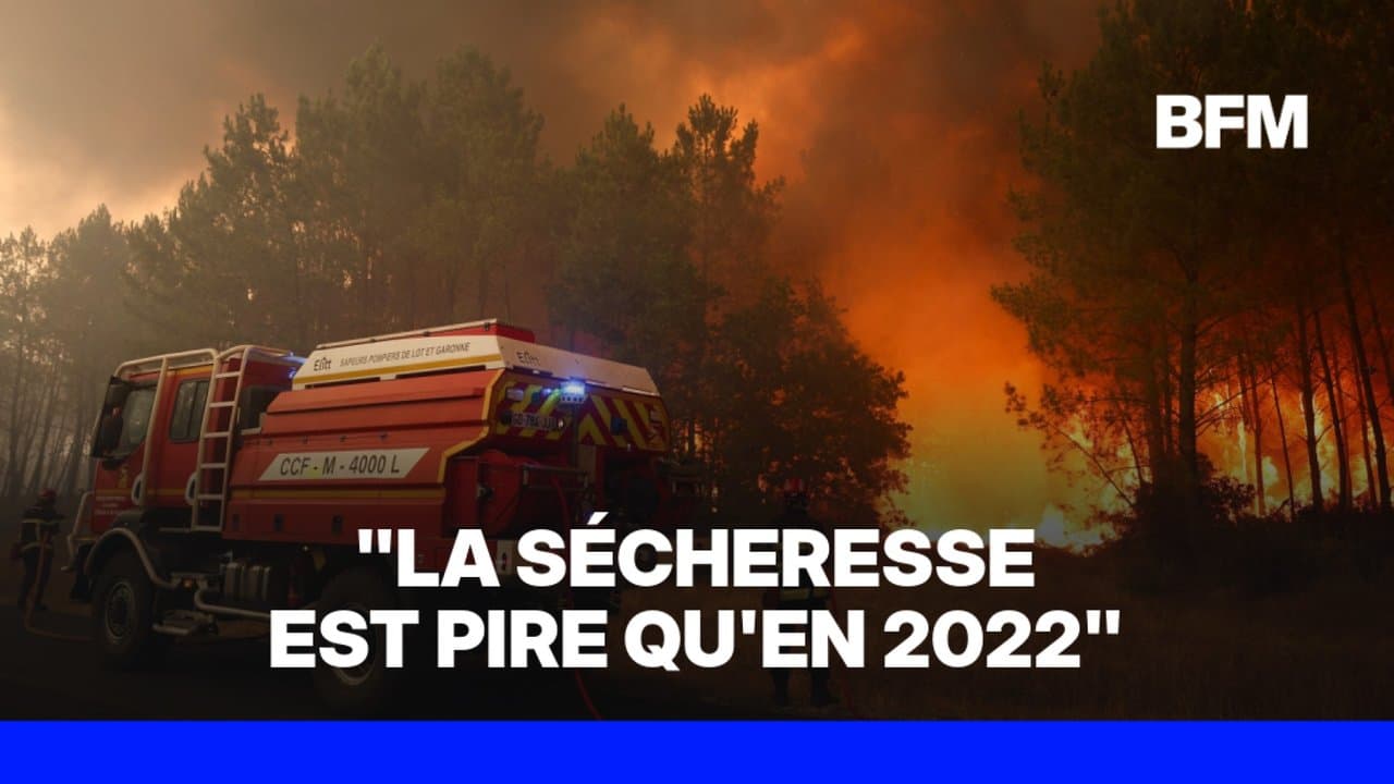 Fire in Gironde: "3,700 hectares burned" and 800 firefighters are mobilized