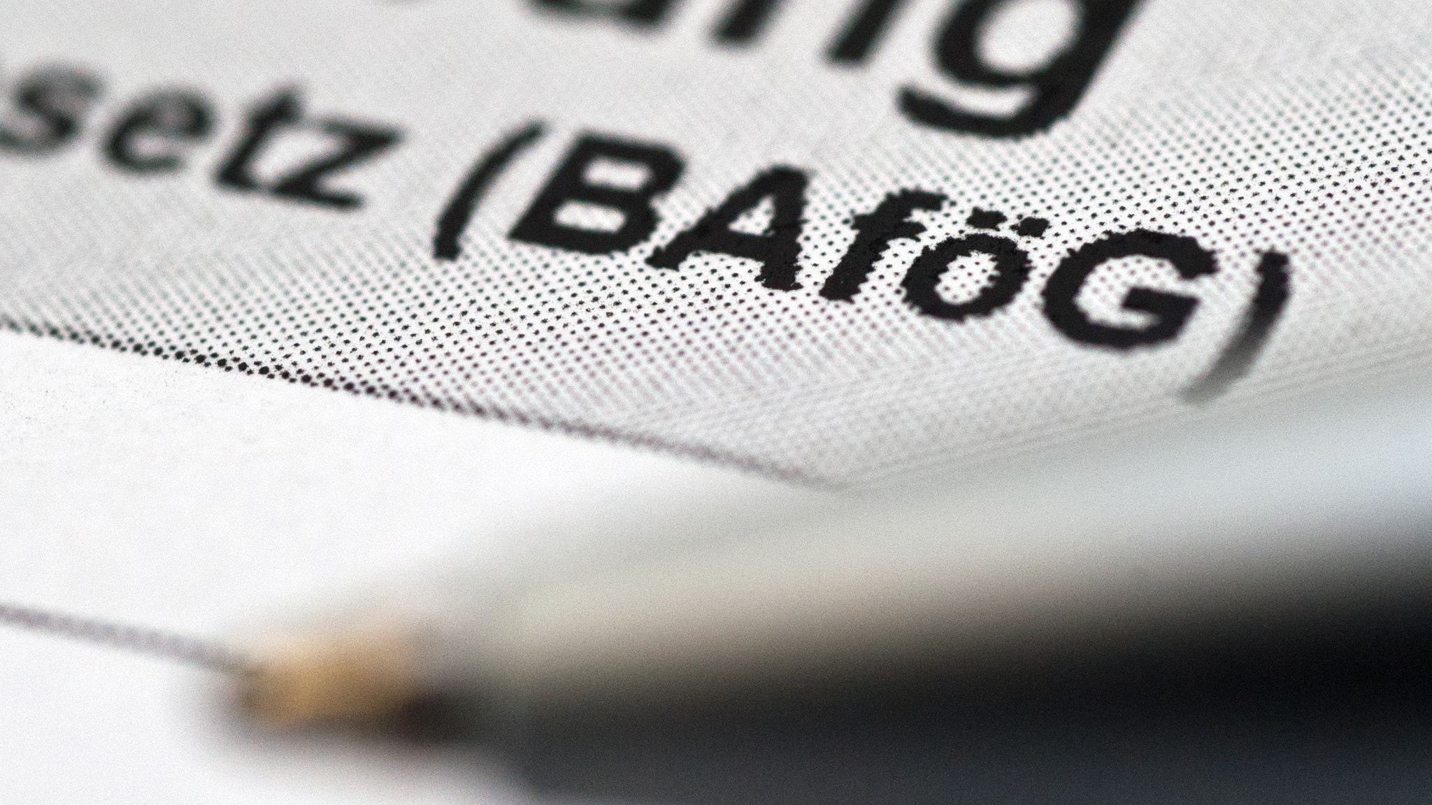 Support for students: Government wants to put Bafög reform on track