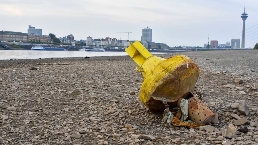 Heat: Low water on the Rhine: demand for taskforce