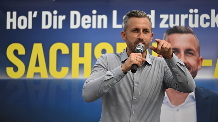 State election: 90 percent of promises not covered: economists dismantle election program of the AfD