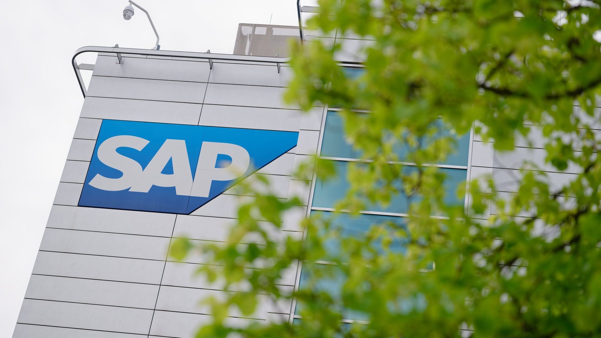 Software group: Dax giant in descent - Why the SAP share crashed