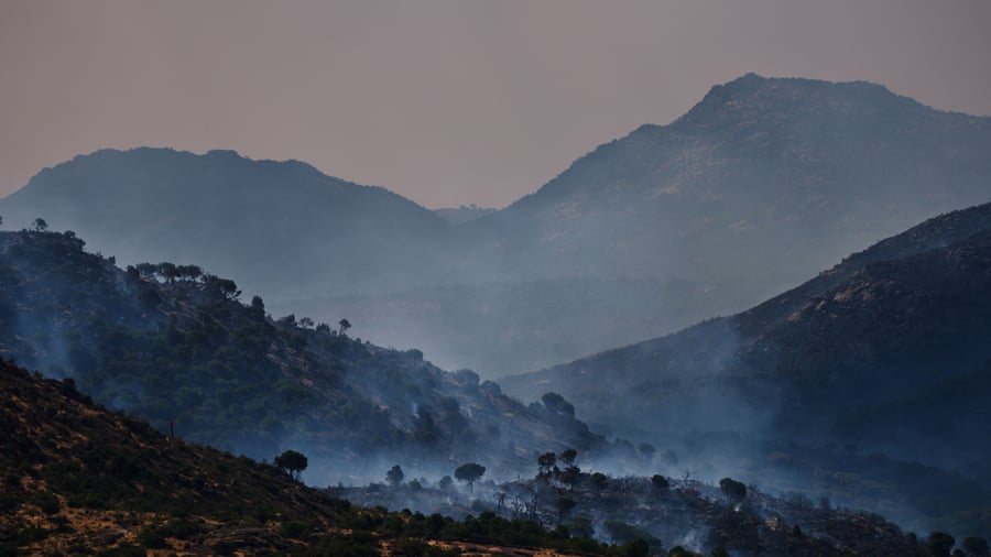 Forest fires in France and Spain – 240,000 people evacuated