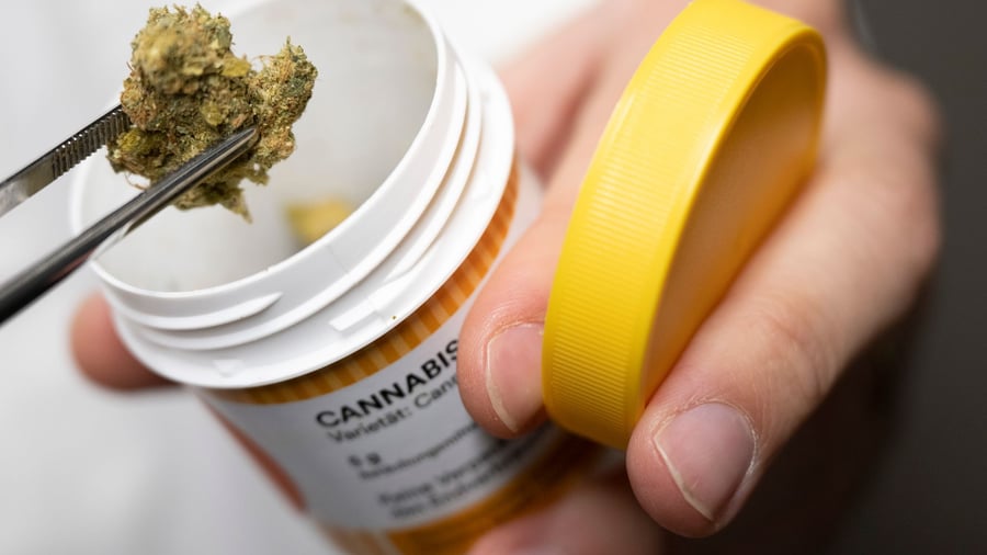 After partial legalization: More people come to the hospital because of cannabis