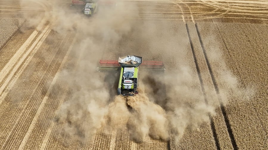 Consequences of drought: worry about harvest: drought and heat hit Europe's farmers