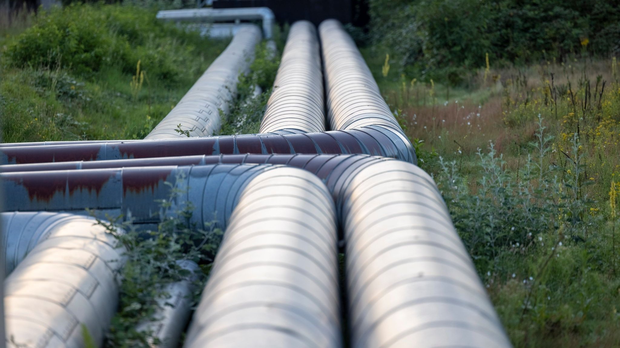 Lawsuit against increases: OLG Hamm sees violations of district heating price clauses of Eon