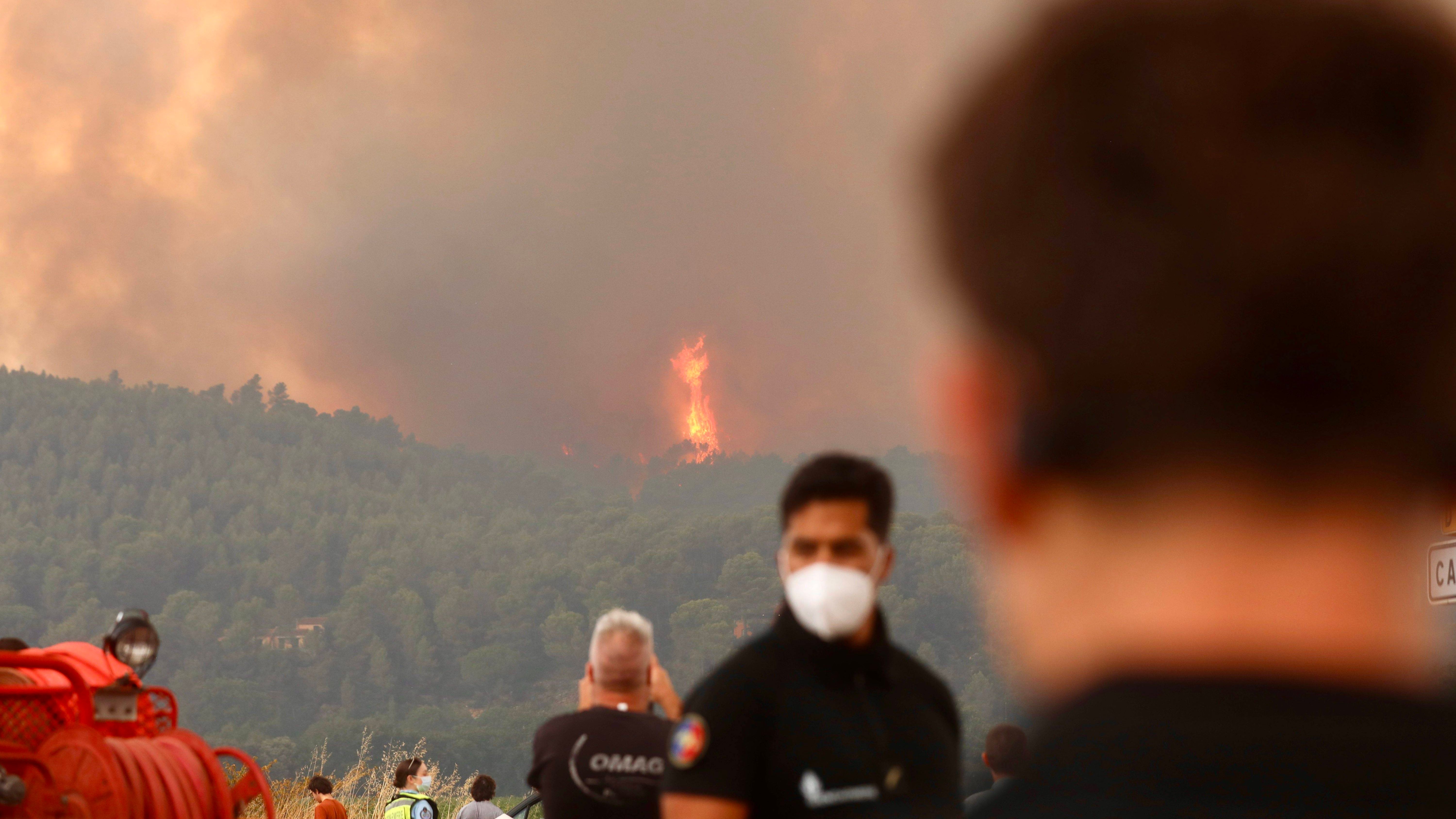Forest fires in southern Europe: fires in Greece rage fiercely – France and Spain report relaxation