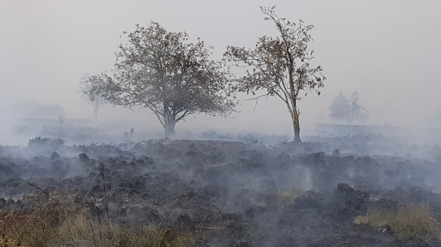 Forest fires: fire in the High Fenn – 30 residents evacuated from Monschau