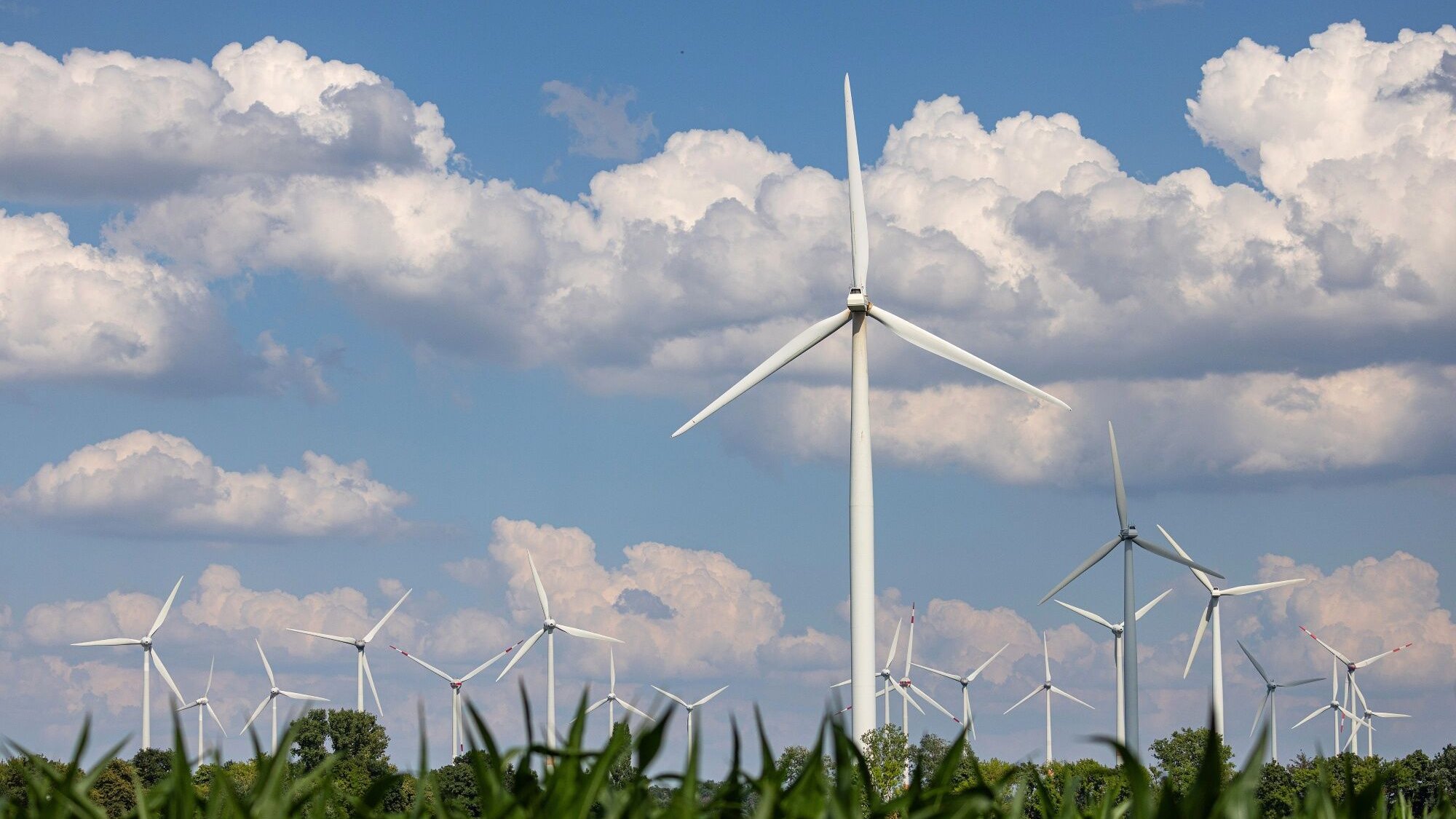 Renewable energies: 400,000 euros lease for a wind turbine – dream returns for farmers