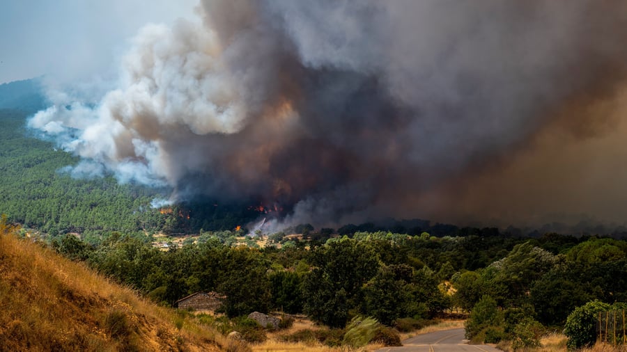 Fire: Forest fires continue to rage in Spain and France