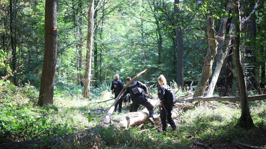 Criminal search for electricity sabotage: large-scale police operation at Hambach Forest ends unsuccessfully