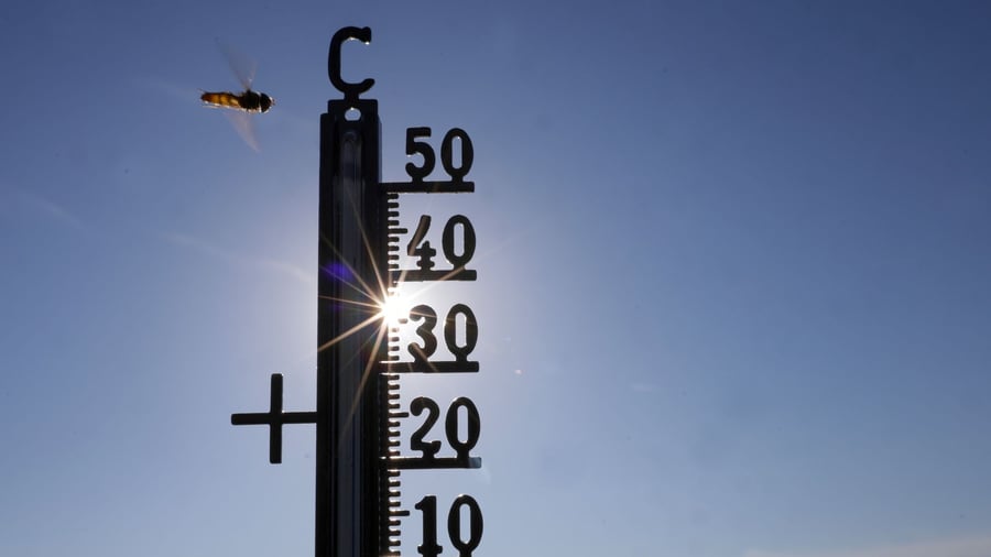 Weather extremes: Survey: Two thirds detect climate change in heat