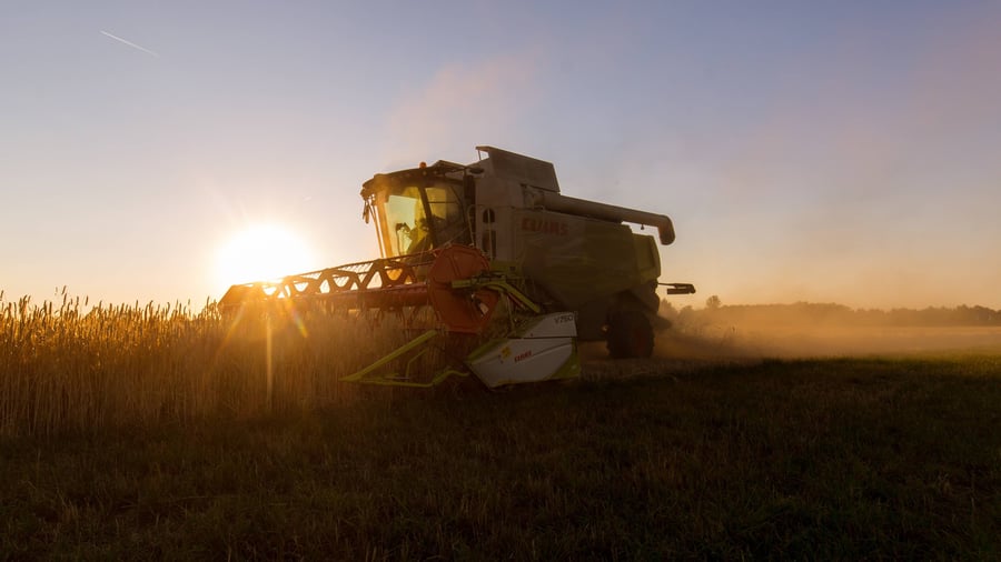 Agriculture: German agricultural producer prices with largest decline since January 2015