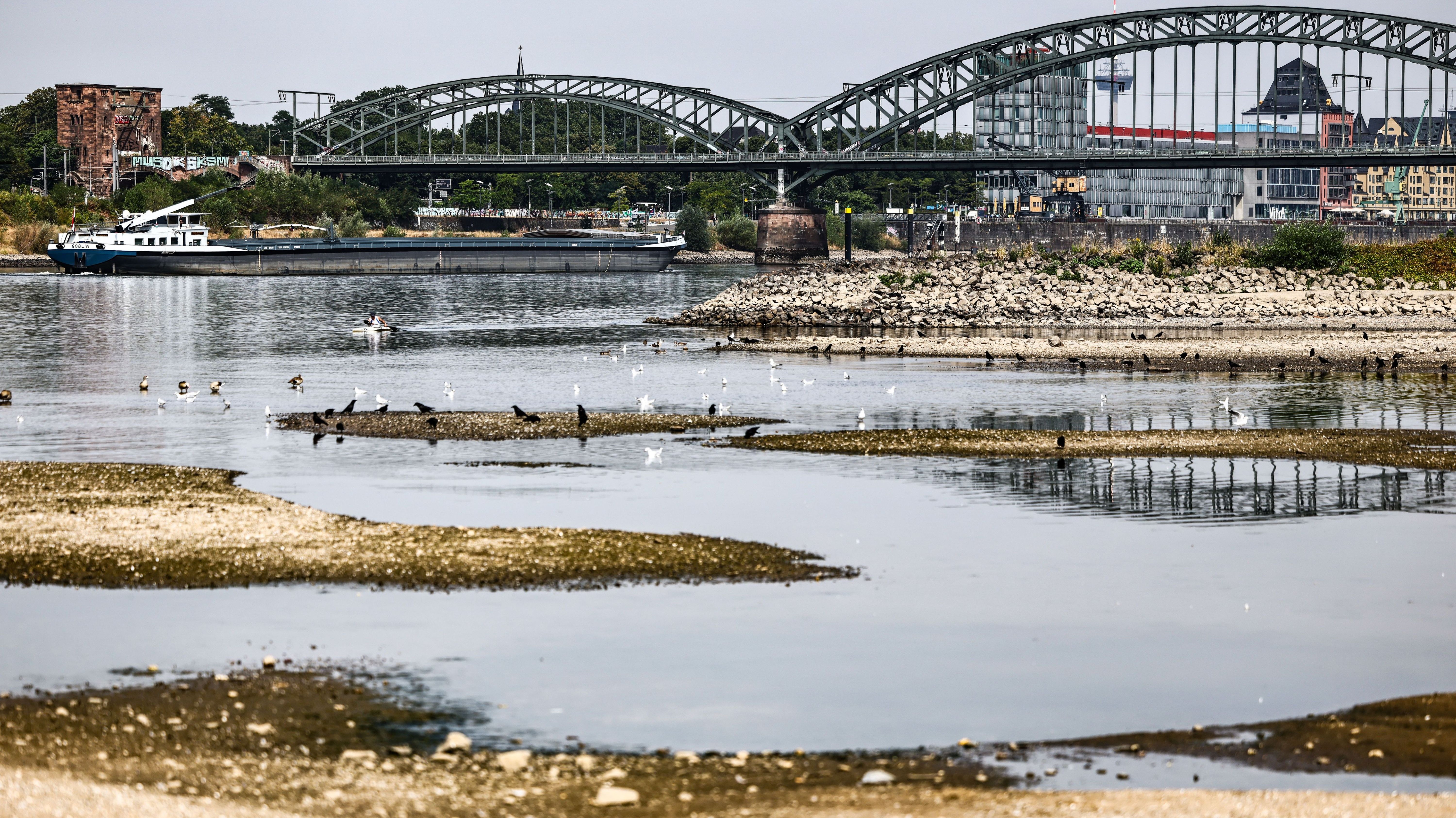 Heat: Rhine level reaches historic lows at Cologne