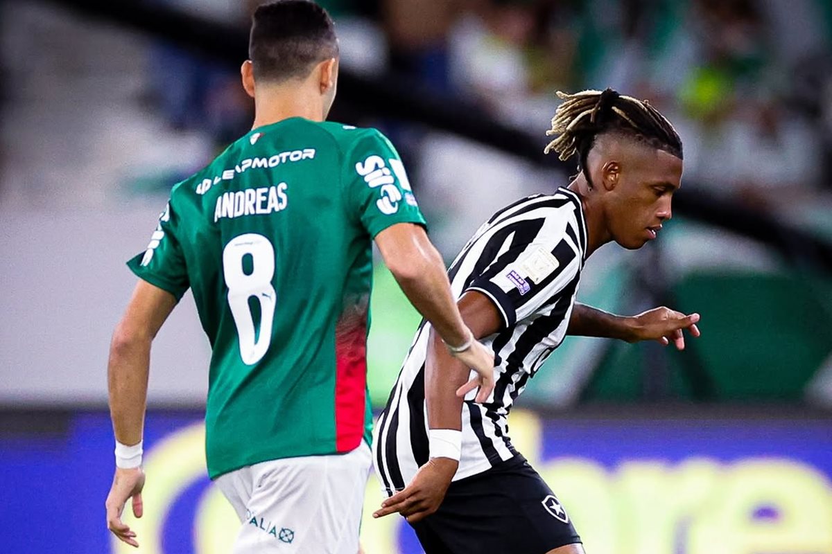 Palmeiras tie without goals with Botafogo and Flamengo consolidates in the leadership
