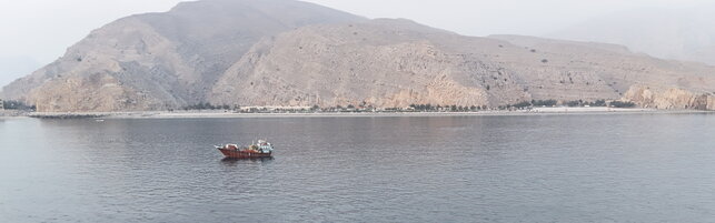 Trump, 'Hormuz is open, we hit them heavily'