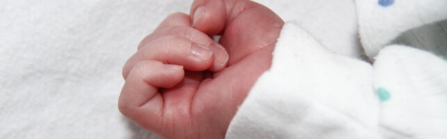 Bologna, nuns find a newborn in the Culla for Life: "It's the first time in nine years."