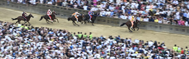 Palio di Siena, triumphs the Contrada del Nicchio: for Fantino Tittia is the 13th victory