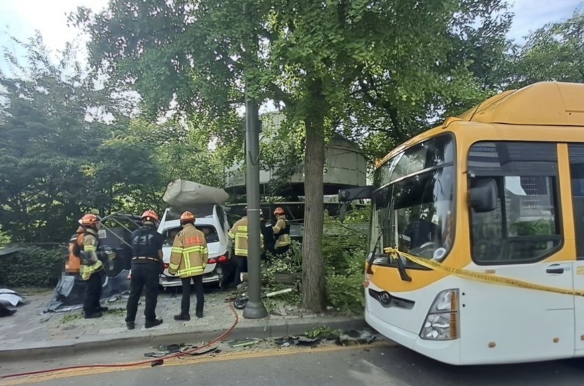 The crash occurred on a sidewalk in Seongnam's Bundang district, leaving the driver seriously injured and a passenger lightly hurt