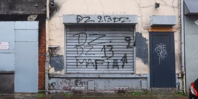 Who is Mehdi Laribi, alias "Tic", one of the leaders of the DZ Mafia, arrested in Algeria?