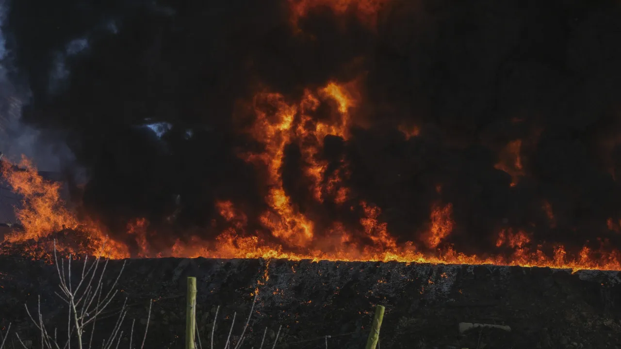 Fire Aveiro fought by 200 operatives arrives in Oliveira do Bairro
