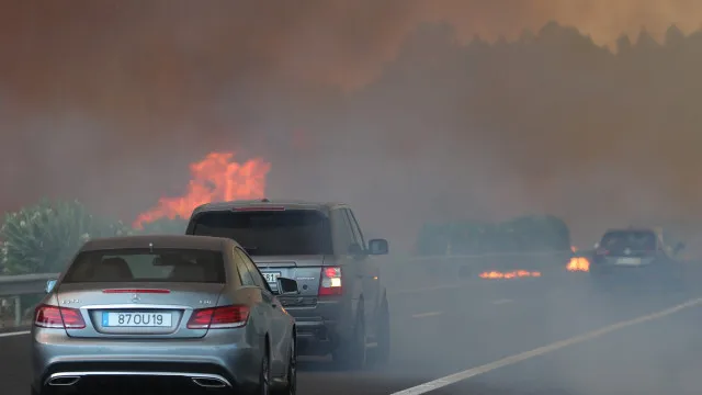 A1 motorway cut in both directions between Albergaria and Mealhada