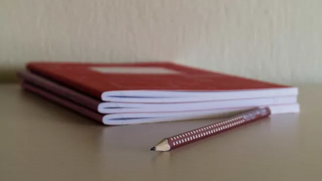 Notícias ao Minuto — País
