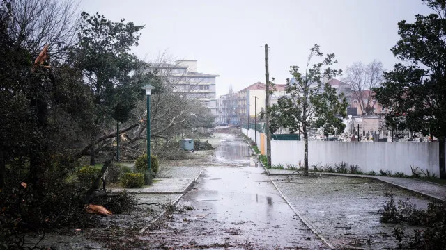 Notícias ao Minuto — País