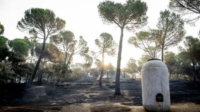 Portuguese operators focus on preventing Avila fire from going beyond the 501, while Madrid is still at risk