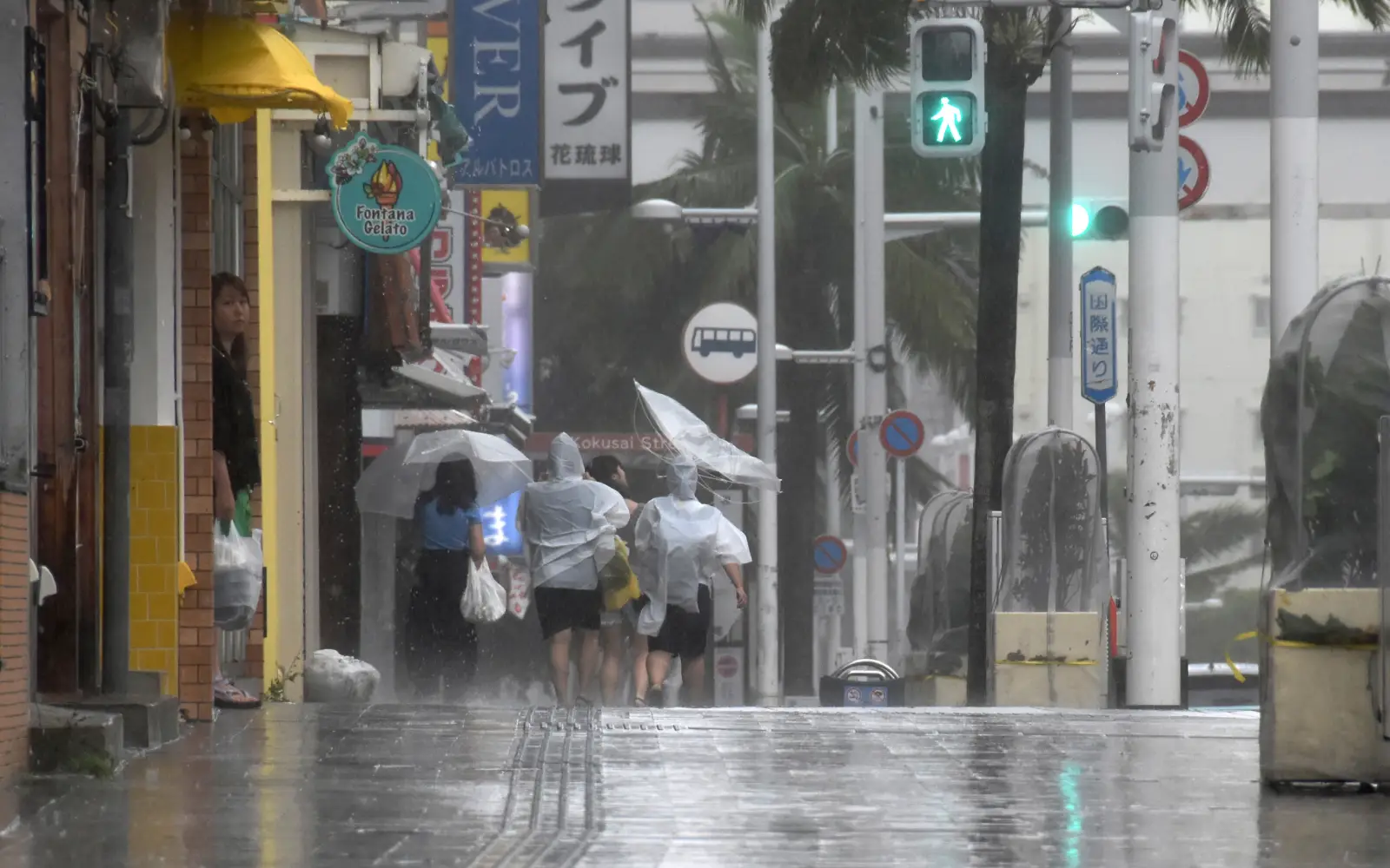 Japan orders evacuations as Typhoon Dolphin approaches