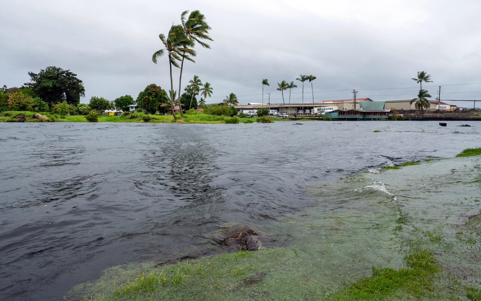 Lala becomes hurricane as it approaches Hawaii