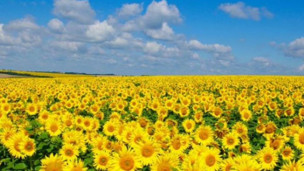 Interfax-Ukraine