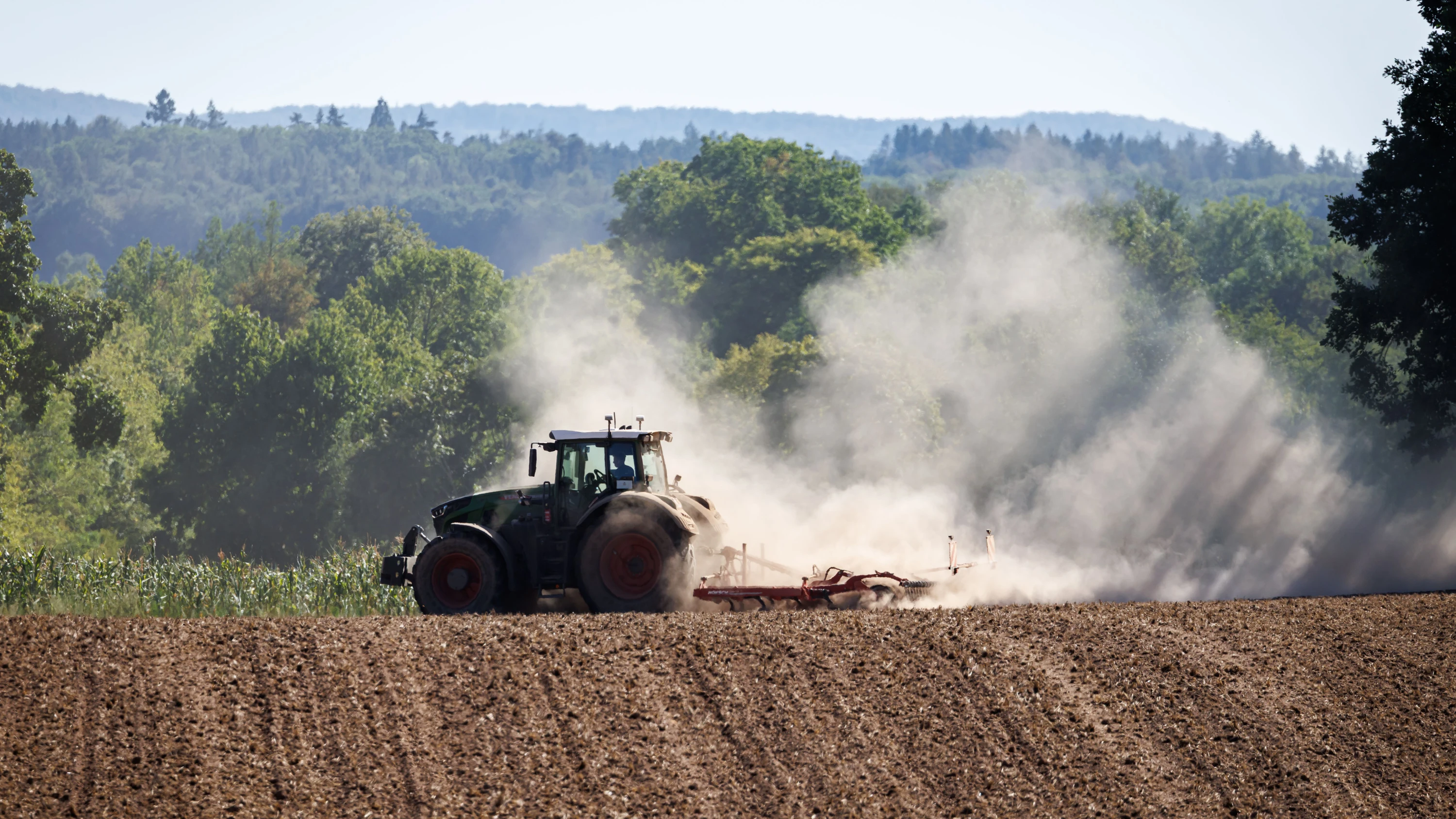Drought: Farmers’ Association warns of total crop failure in southern Germany