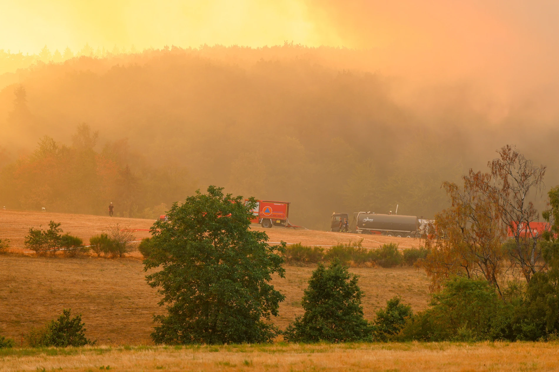 Bundeswehr helps: Largest forest fire in NRW: extinguishing work in the Eifel continues